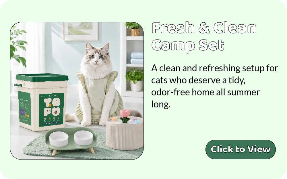 Parmedu Review 2026: Themed Cat Furniture That Actually Looks Good