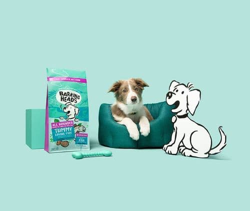 Barking Heads & Meowing Heads Review 2026