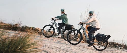 Fiido E-Bike Review 2026