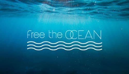 Free the Ocean Review 2026: Do Your Swaps Actually Clean the Sea?