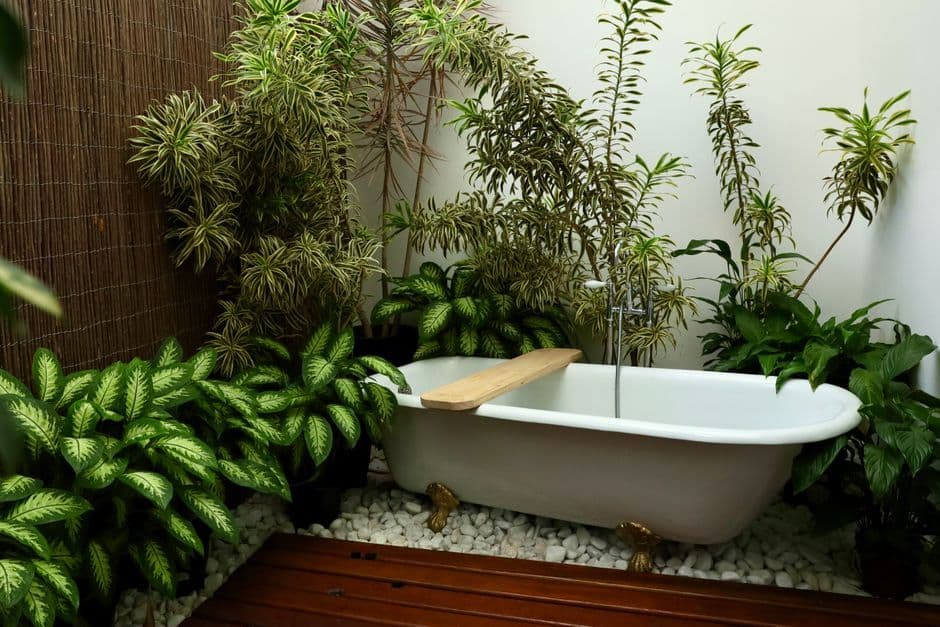 Wellness Point DE/AT Review 2026: Home Saunas Worth the Space